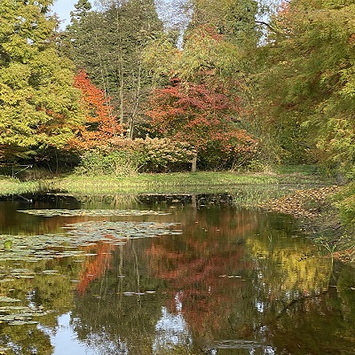 Stervensbegeleiding_mariejosevoetreflexplus